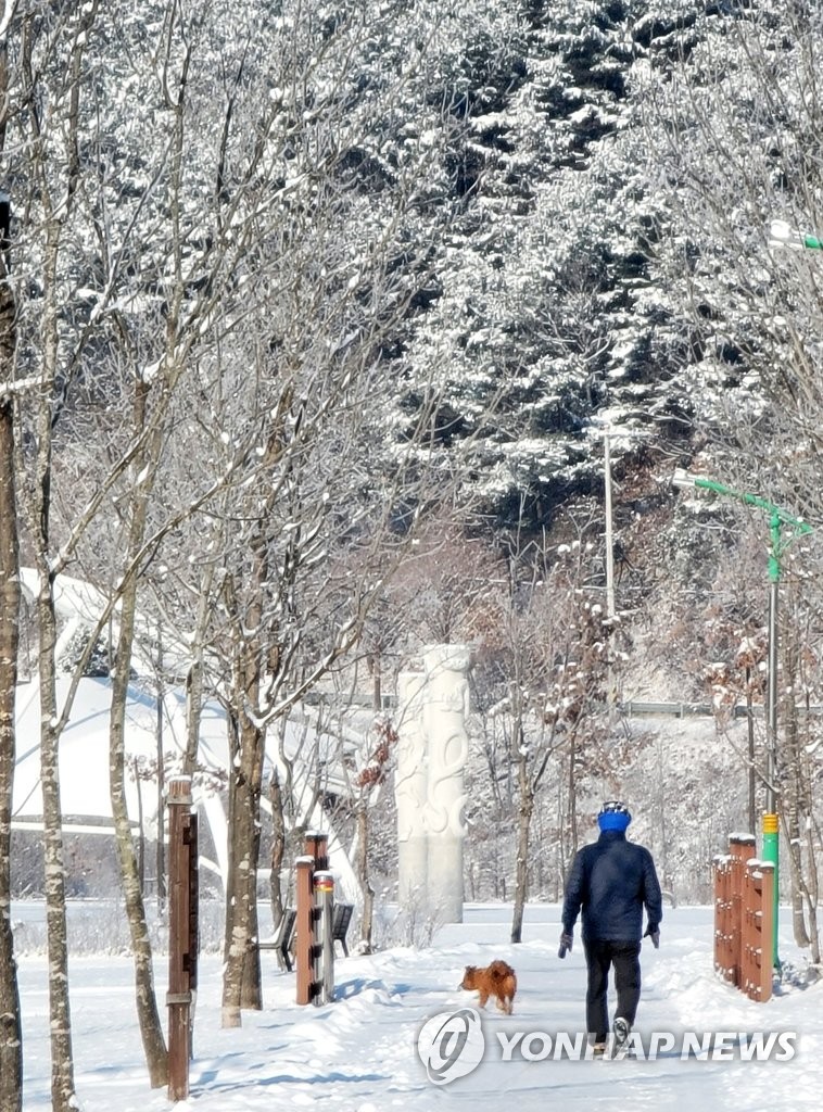 반려견과 함께 겨울 산책