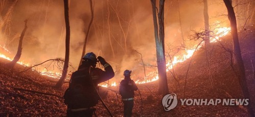 공무원노조 경북본부 "산불발생 시·군 '예산 페널티' 탁상공론"