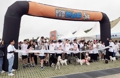 제주 반려동물 축제