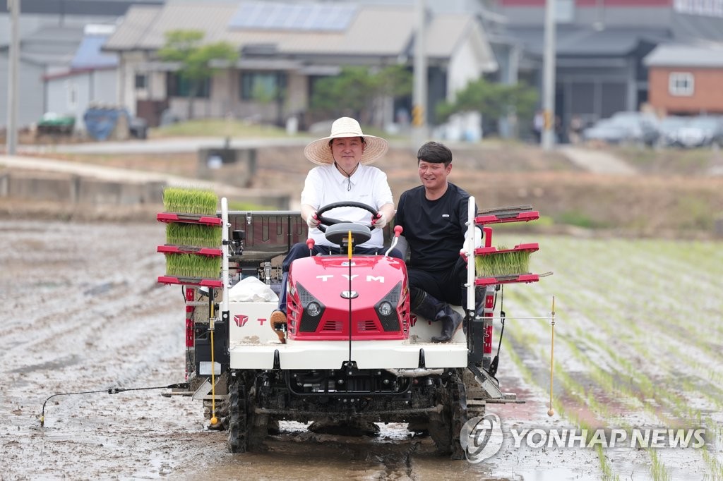 Yoon experimenta la plantación de arroz