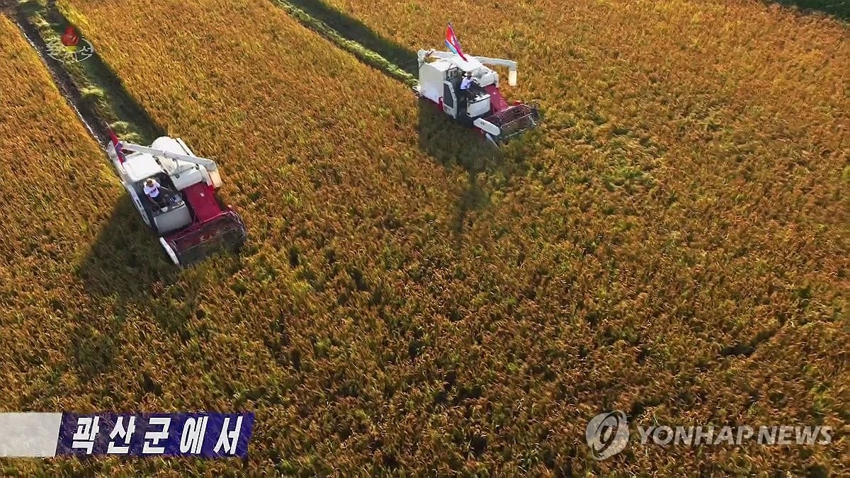 북한 평안북도 곽산군, 올해 첫 추수