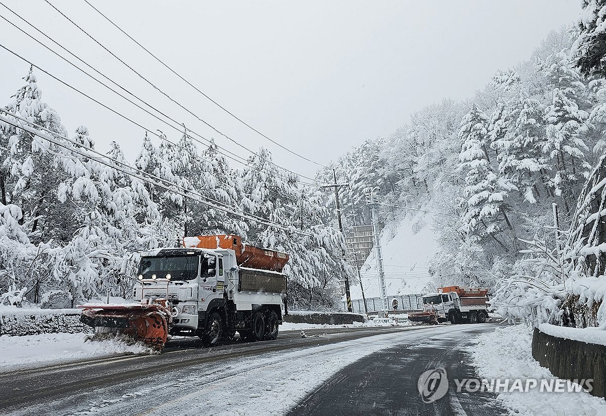 春の大雪