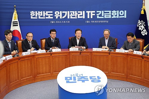DP leader calls for urgent inter-Korean talks on balloons, leafleting