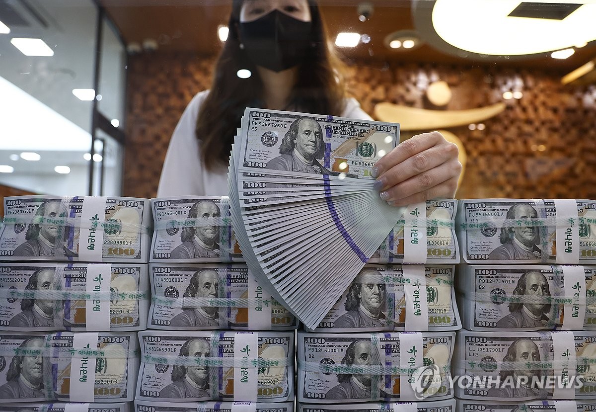 새정부 첫 '유로화 외평채'…2조대 발행에 30조 몰려…