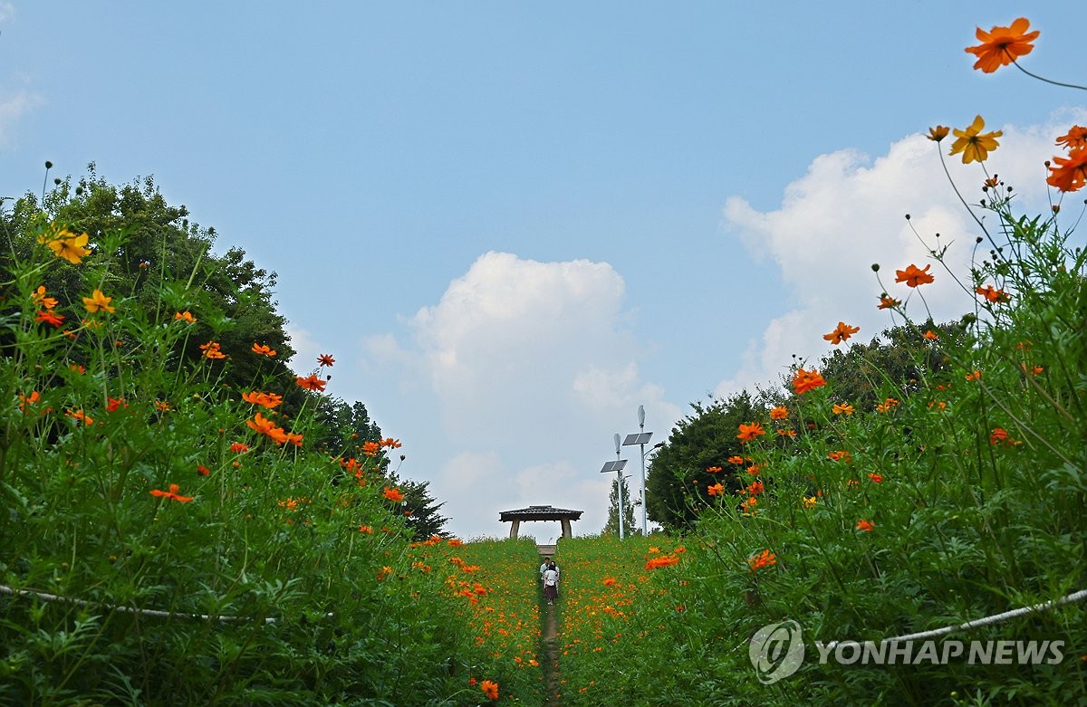 하늘은 가을인데...계속되는 늦더위