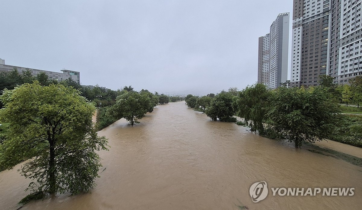 Un arroyo que atraviesa varios distritos de Daejeon sigue crecido el 21 de septiembre de 2024, tras las fuertes lluvias caídas durante la noche. (Yonhap)