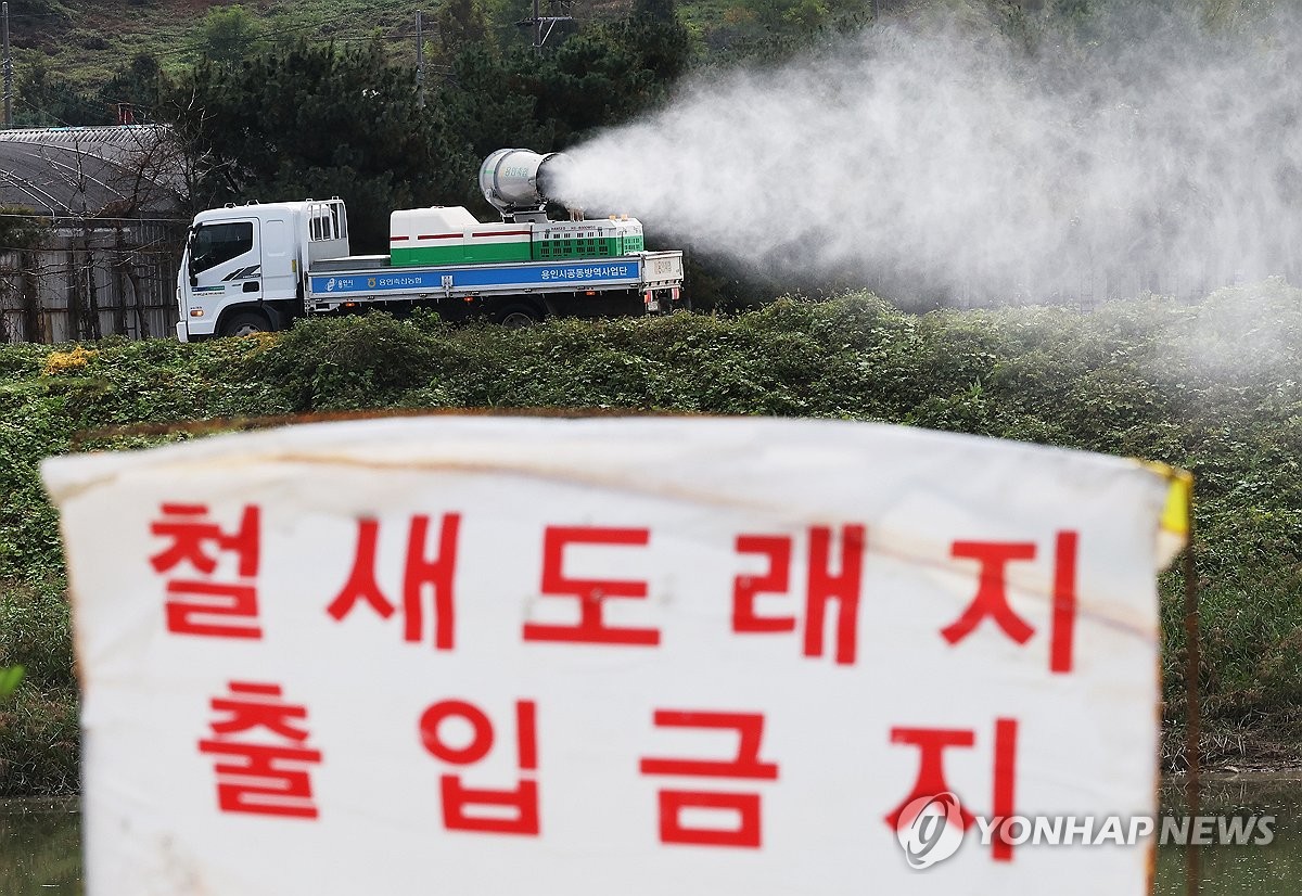 지난겨울 야생조류 고병원성 AI 43건 발생…2배 이상 늘어