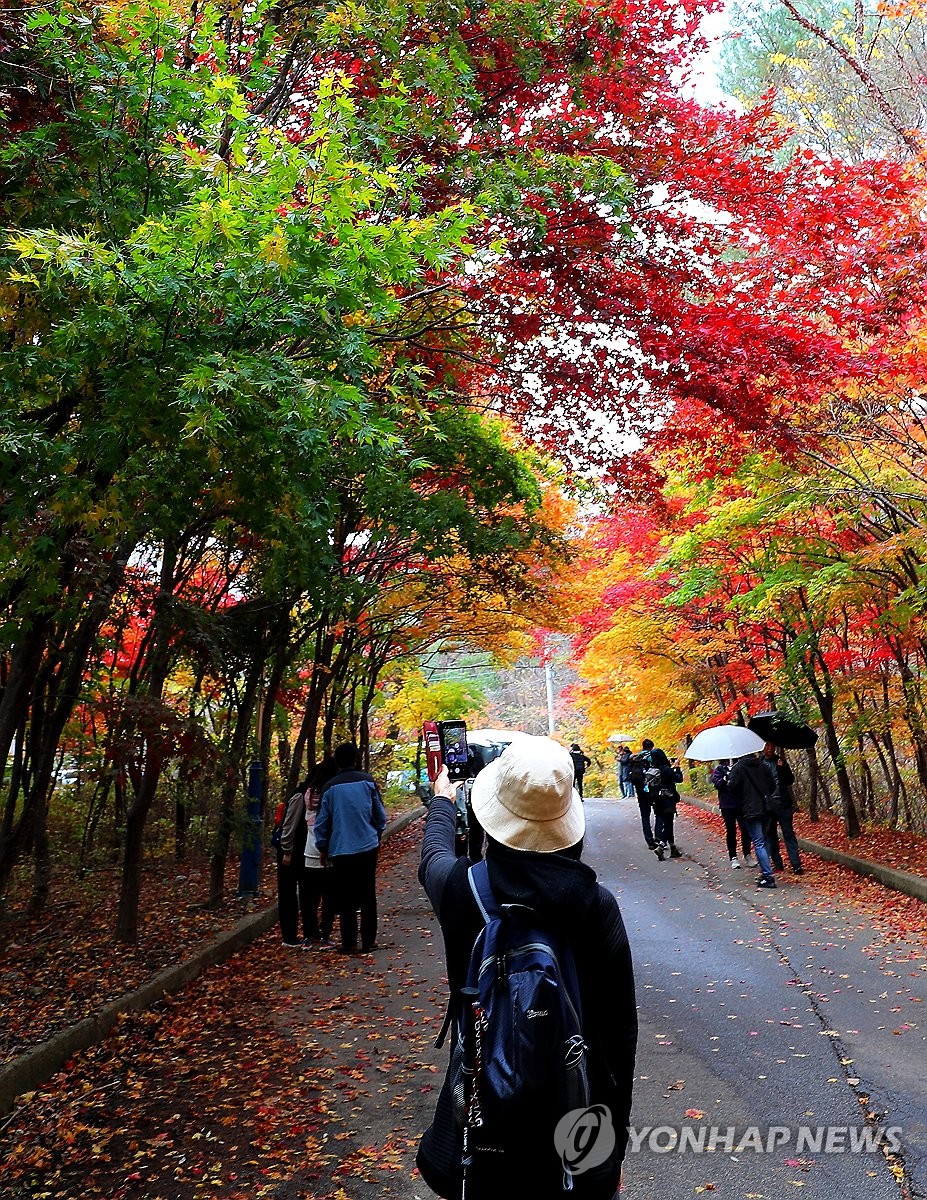 인제 필례약수터 오색 단풍