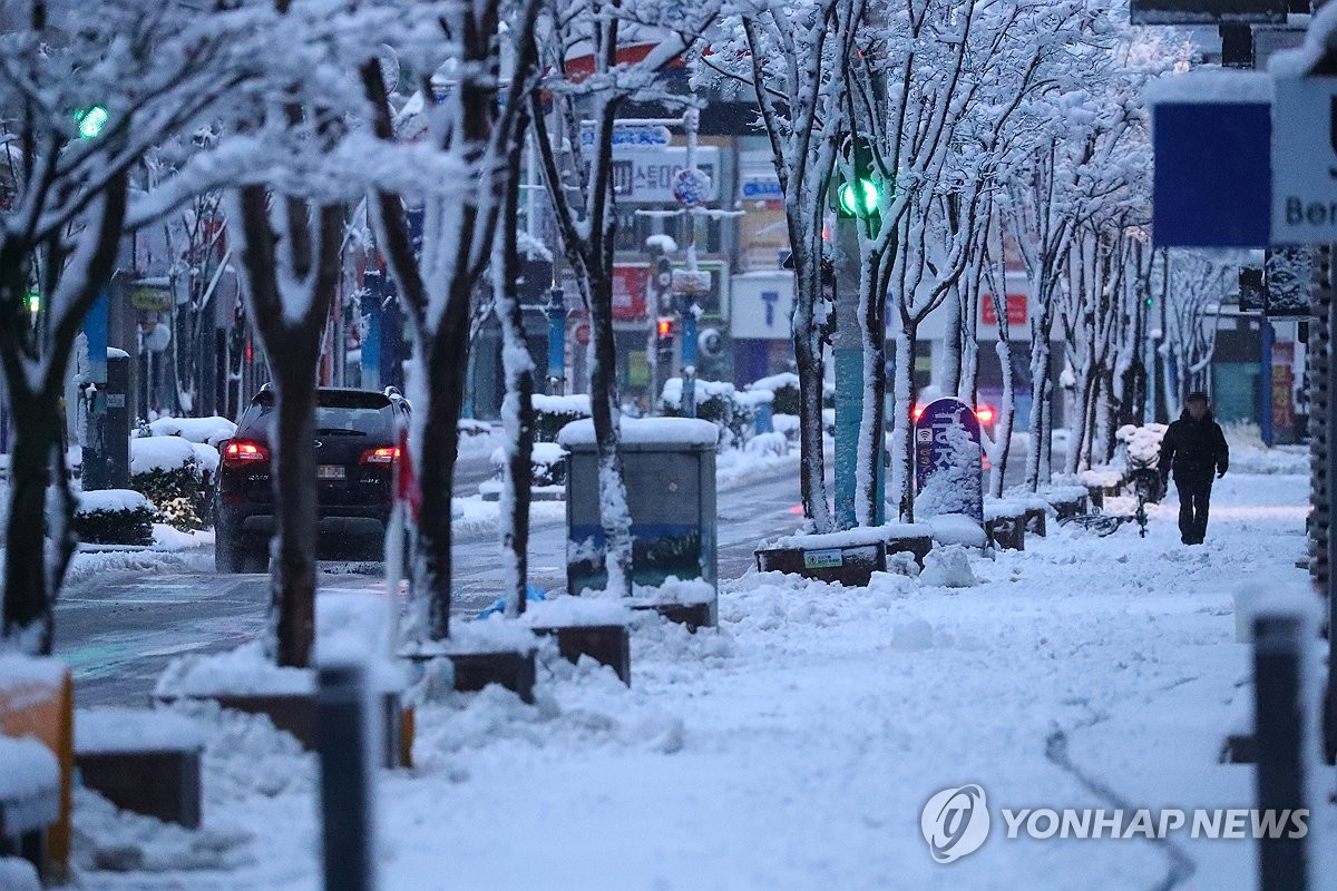 ３月の雪