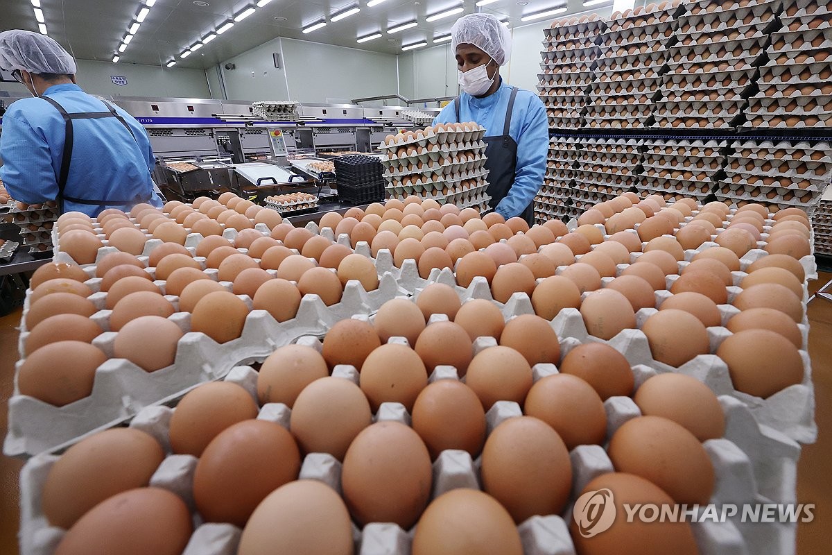 한국의 알미국에 첫수출