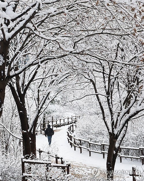 서해안·제주도 등에 많은 눈…10㎝ 이상 쌓이는 곳도