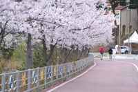 올해 가장 눈길 가는 속초 소식은…'영랑호 관광단지 조성' 1위