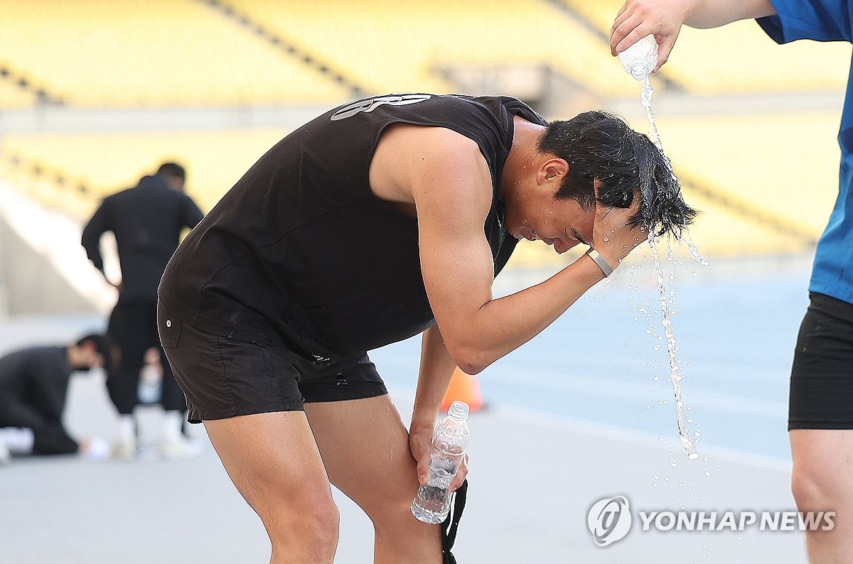 올해도 