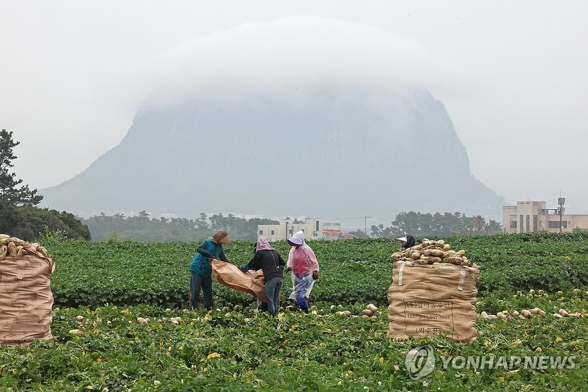 주말까지 전국 비…제주·남해안·지리산 오늘 밤 집중호우