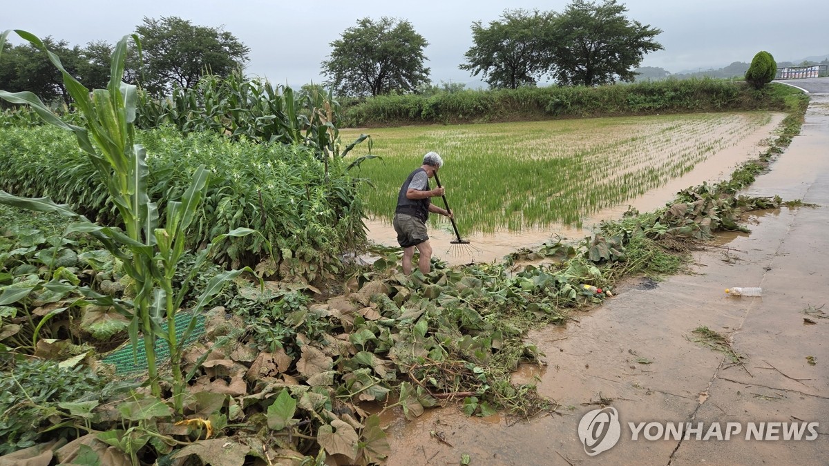 "수해복구 총력"…서산시민체육대회 취소