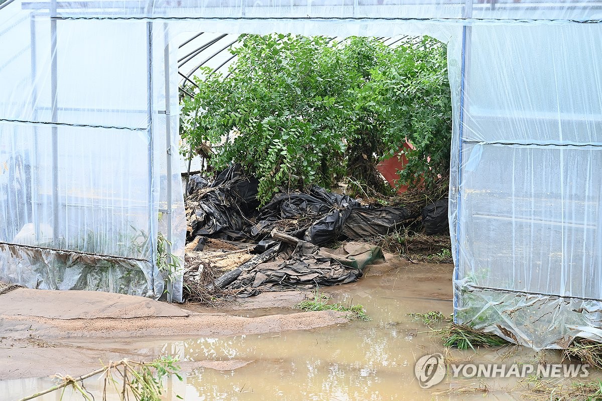 나흘간 집중호우로 축구장 3만4천개 농작물 침수