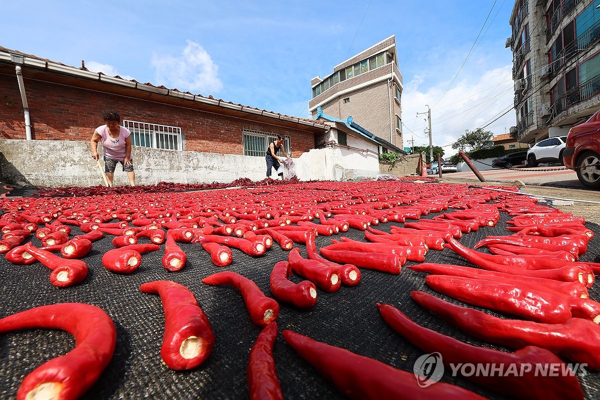 도심에 찾아드는 가을