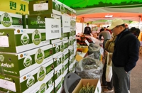 양구군 3대 대표 축제, 모두 역대 최다 방문객 기록