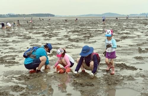 고창 바지락 축제 18일 개막…직거래 장터도 개설