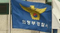 오피스텔서 추락한 웰시코기 "학대 흔적 없어"…내사종결 예정